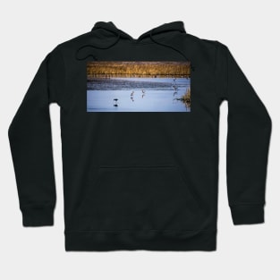 American Avocets Hoodie